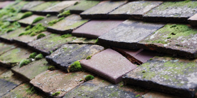 Knotting roof repair costs
